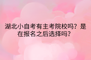 湖北小自考有主考院校嗎？是在報名之后選擇嗎？