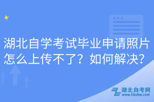 湖北自學考試畢業申請照片怎么上傳不了？如何解決？