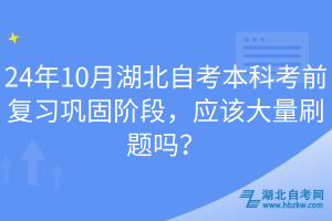 24年10月湖北自考本科考前復習鞏固階段，應該大量刷題嗎？