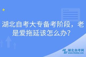 湖北自考大專備考階段，老是愛拖延該怎么辦？