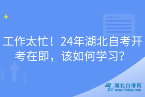 工作太忙！24年湖北自考開考在即，該如何學習？