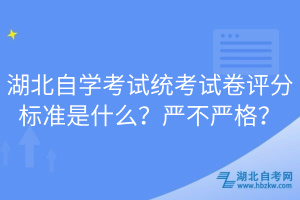 湖北自學考試統考試卷評分標準是什么？嚴不嚴格？