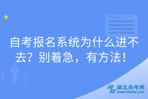 自考報名系統為什么進不去？別著急，有方法！