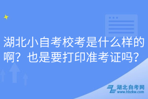 湖北小自考校考是什么樣的啊？也是要打印準考證嗎？