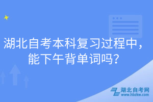 湖北自考本科復習過程中，能下午背單詞嗎？