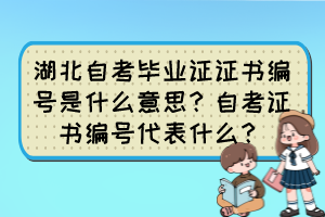 湖北自考畢業證證書編號是什么意思？自考證書編號代表什么？