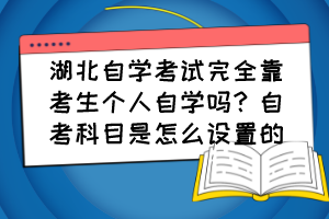 湖北自學考試完全靠考生個人自學嗎？自考科目是怎么設置的？