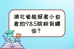 湖北省能報考小自考的985院校有哪些？