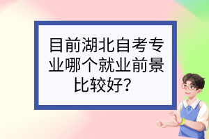 目前湖北自考專業哪個就業前景比較好？