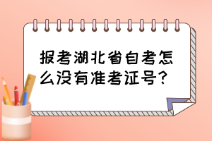 報考湖北省自考怎么沒有準考證號？