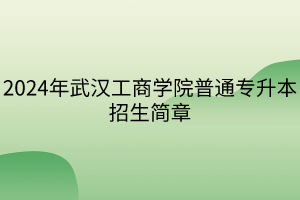 2024年武漢工商學院普通專升本招生簡章(1)