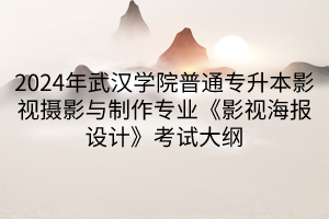 2024年武漢學院普通專升本影視攝影與制作專業《影視海報設計》考試大綱(1)