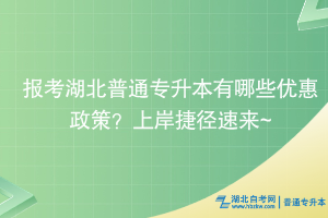 報考湖北普通專升本有哪些優惠政策？上岸捷徑速來~