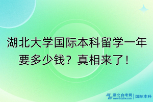 湖北大學國際本科留學一年要多少錢？真相來了！