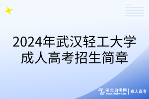 2024年武漢輕工大學成人高考招生簡章