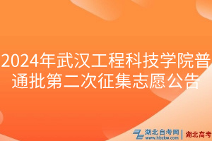 2024年武漢工程科技學院普通批第二次征集志愿公告