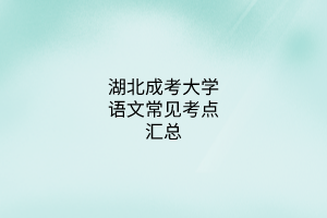 湖北成考大學語文常見考點匯總