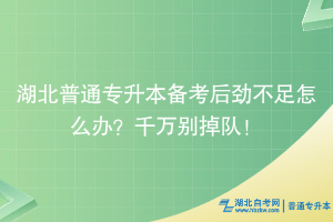 湖北普通專升本備考后勁不足怎么辦？千萬別掉隊！