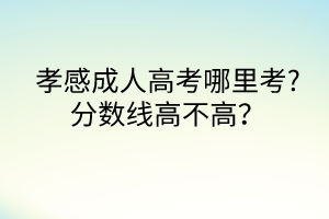 孝感成人高考哪里考?分數線高不高？