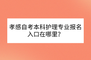 孝感自考本科護理專業報名入口在哪里？