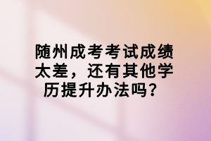 隨州成考考試成績太差，還有其他學歷提升辦法嗎？