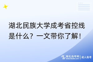 湖北民族大學成考省控線是什么？一文帶你了解！