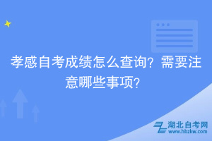 孝感自考成績怎么查詢？需要注意哪些事項？