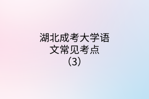 湖北成考大學語文常見考點（3）