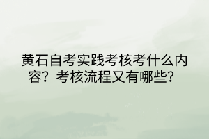 黃石自考實踐考核考什么內容？考核流程又有哪些？