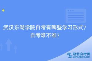 武漢東湖學院自考有哪些學習形式？自考難不難？