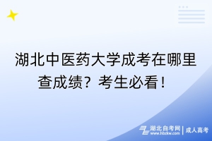 湖北中醫藥大學成考在哪里查成績？考生必看！