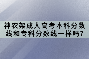 神農架成人高考本科分數線和專科分數線一樣嗎?