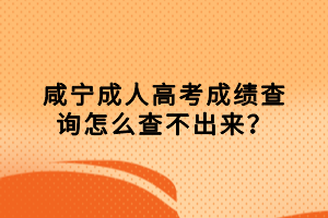 咸寧成人高考成績查詢怎么查不出來？