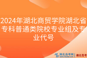 2024年湖北商貿學院湖北省專科普通類院校專業組及專業代號