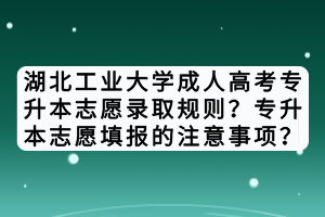 湖北工業大學成人高考專升本志愿錄取規則？專升本志愿填報的注意事項？