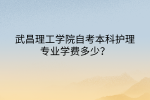 武昌理工學院自考本科護理專業學費多少？