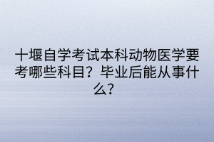 十堰自學考試本科動物醫(yī)學要考哪些科目？畢業(yè)后能從事什么？