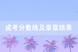 2020年武漢科技大學成人高考錄取分數線及錄取結果