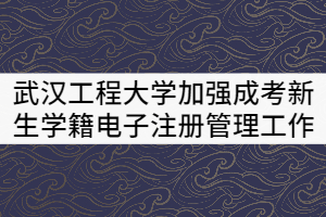 武漢工程大學關于加強成考新生學籍電子注冊管理的工作辦法