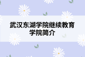 武漢東湖學院繼續教育學院簡介