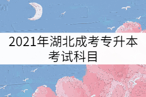 2021年湖北成考專升本考試科目