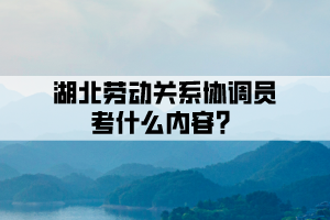 湖北勞動關系協調員考什么內容？