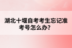 湖北十堰自考考生忘記準(zhǔn)考號(hào)怎么辦？