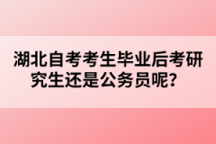 湖北自考考生畢業后考研究生還是公務員呢？