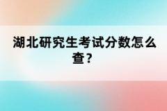 湖北研究生考試分數怎么查？