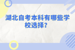 湖北自考本科有哪些學校選擇？