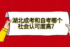 湖北成考和自考哪個社會認可度高？